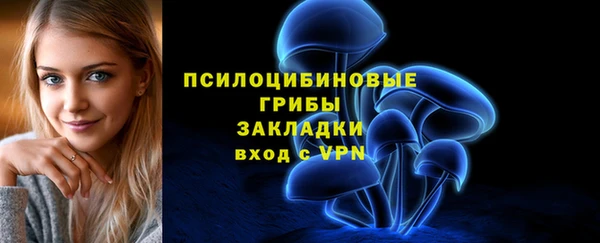 альфа пвп Гусь-Хрустальный