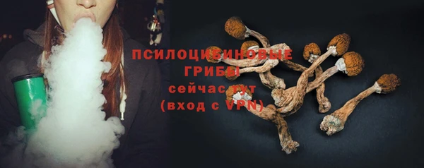прущая мука Гусев