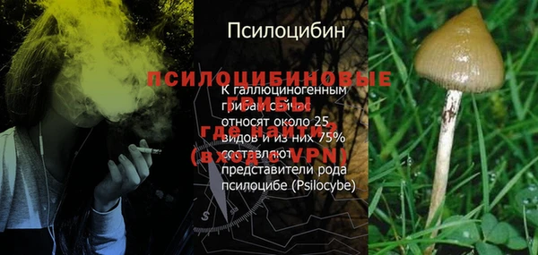 альфа пвп Гусь-Хрустальный
