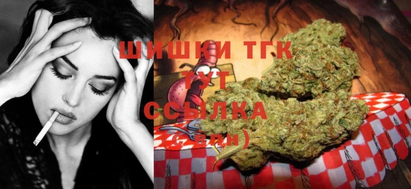 прущая мука Гусиноозёрск