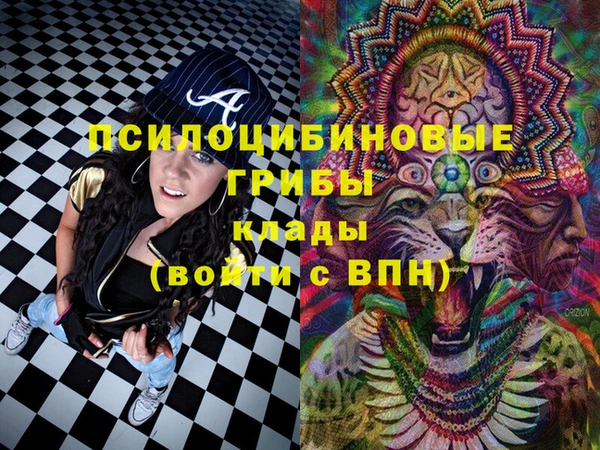 альфа пвп Гусь-Хрустальный